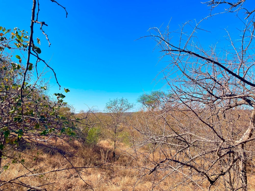 Vacant land sold in Elephant Rock Eco Estate - 1HS1680369 Vacant land sold in Elephant Rock Eco Estate - 1HS1680369