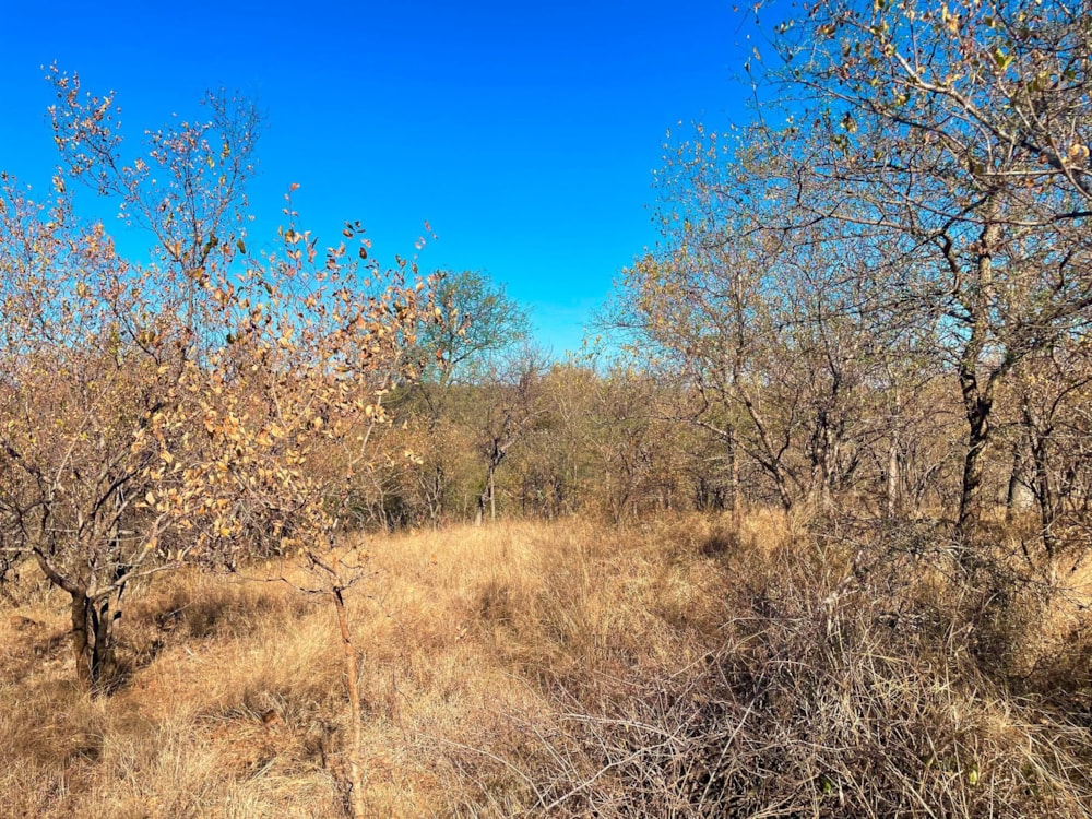 Vacant land sold in Elephant Rock Eco Estate - 1HS1680369 Vacant land sold in Elephant Rock Eco Estate - 1HS1680369