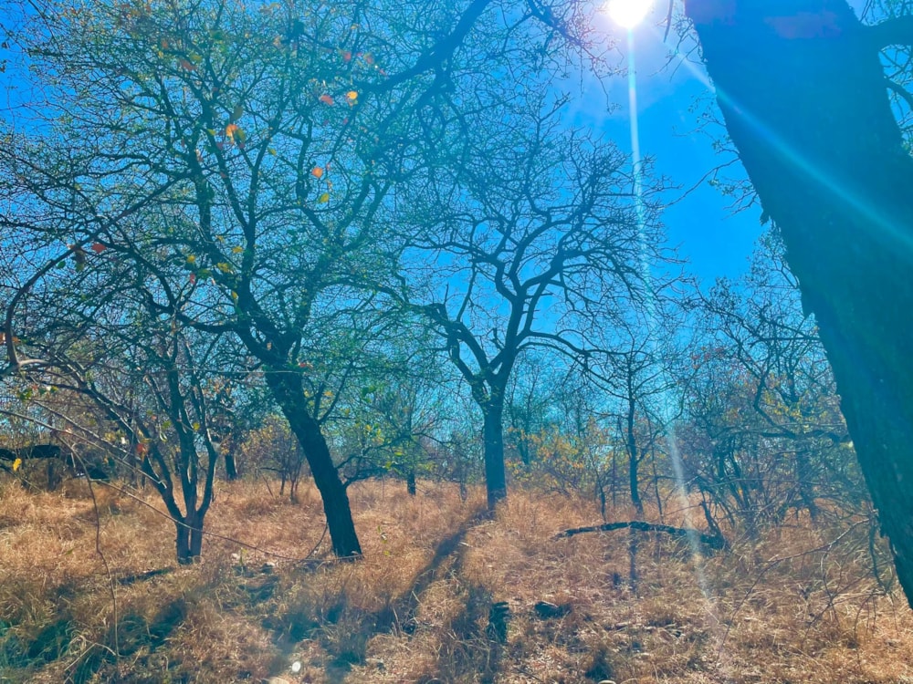 Vacant land sold in Elephant Rock Eco Estate - 1HS1680369 Vacant land sold in Elephant Rock Eco Estate - 1HS1680369