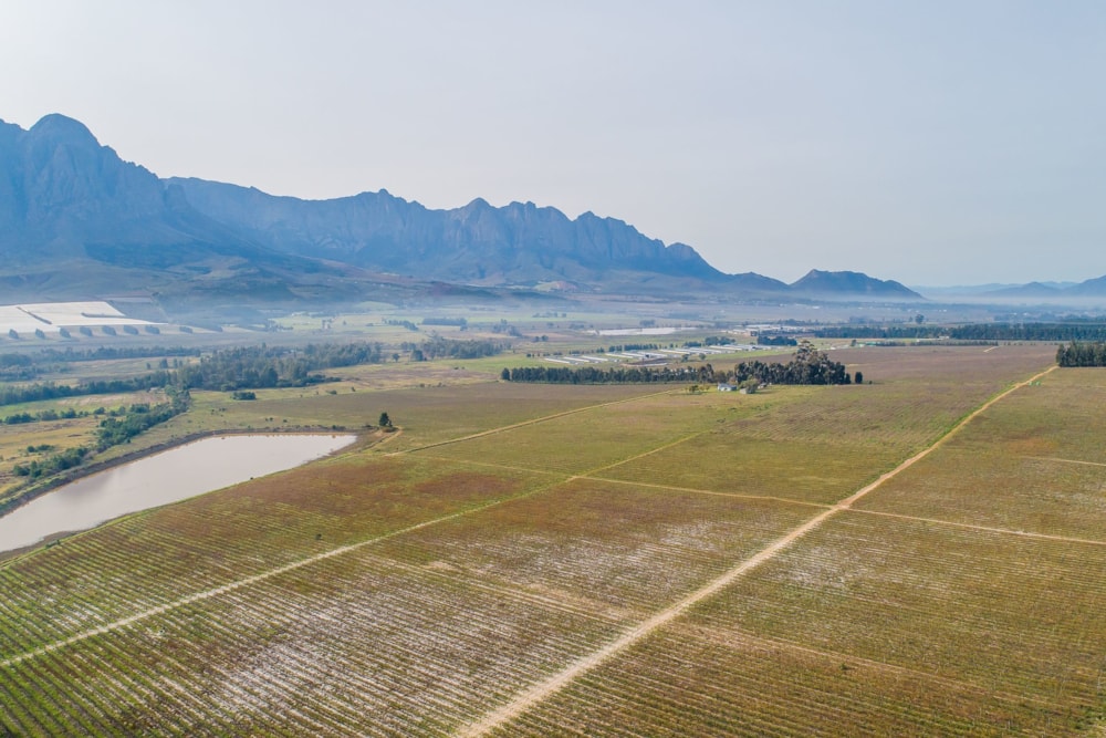 Fruit farm for sale in Worcester Rural - TK1621358