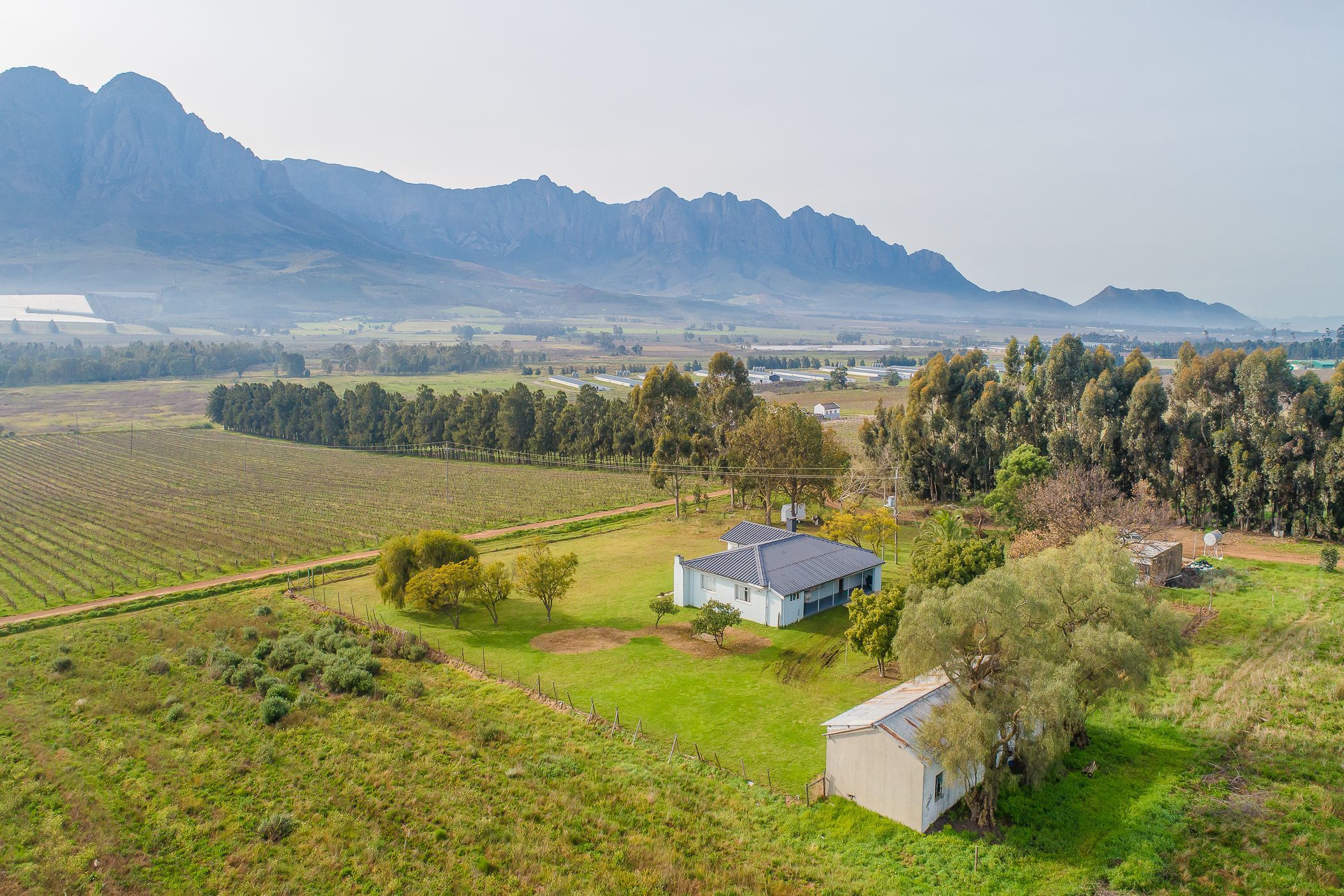 Fruit farm for sale in Worcester Rural - TK1621358