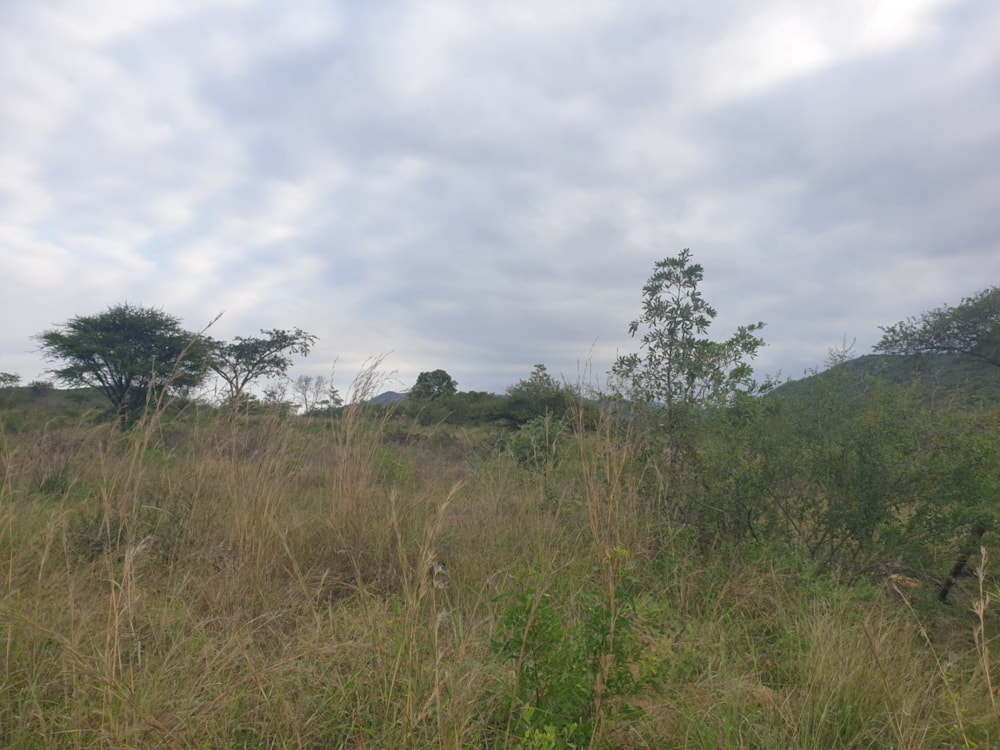 Farm vacant land for sale in Mbombela Rural (Nelspruit Rural) - 1NK1703572