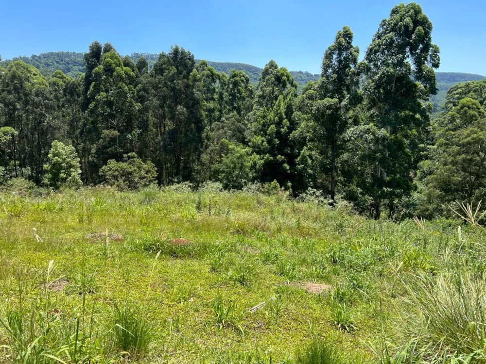 Residential vacant land for sale in Victoria Country Club Estate - 1PM1621627