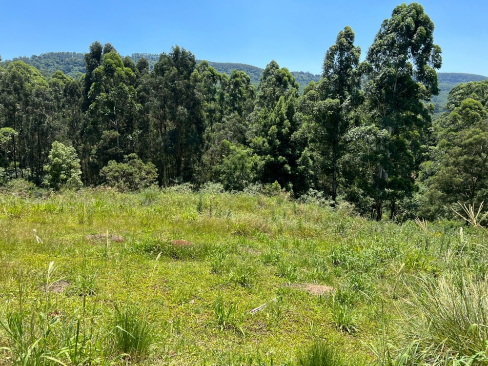 Residential vacant land for sale in Victoria Country Club Estate - 1PM1621627