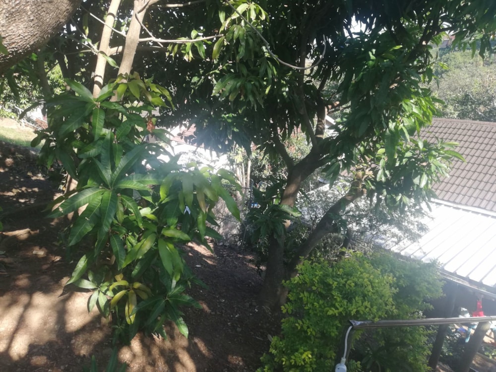 House for sale in Marburg - 1PX1622105 House for sale in Marburg - 1PX1622105