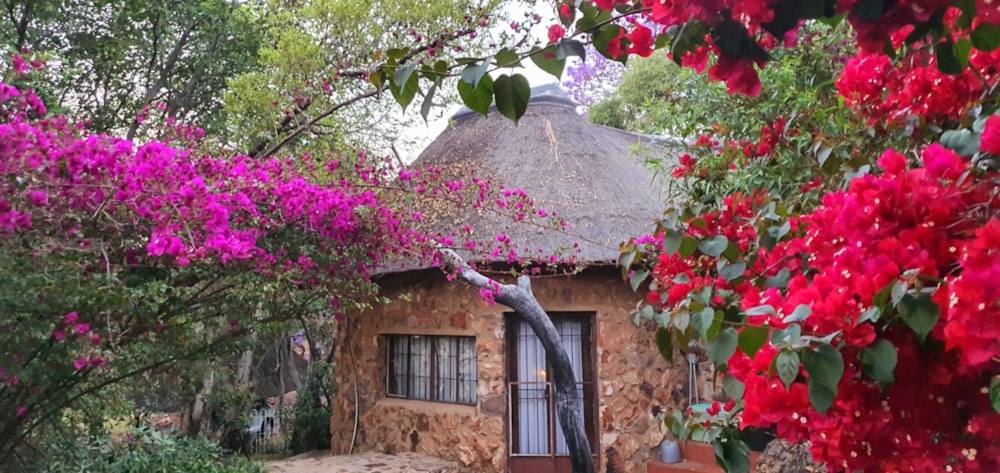 Country hotel for sale in Vlakplaats - PT1622600 Country hotel for sale in Vlakplaats - PT1622600