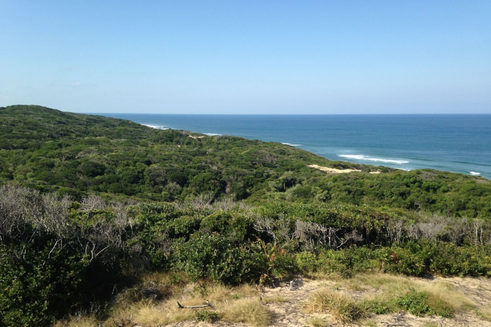 Vacant land for investment in Chidenguele, Gaza, Mozambique - 3MQ1622365