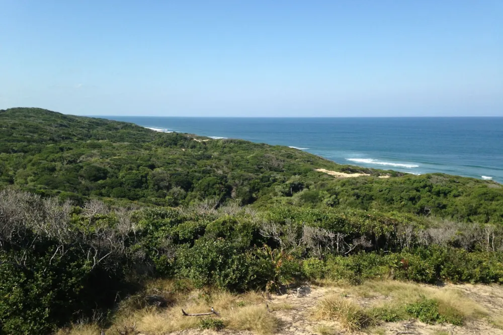 Vacant land for investment in Chidenguele, Gaza, Mozambique - 3MQ1622365 Vacant land for investment in Chidenguele, Gaza, Mozambique - 3MQ1622365