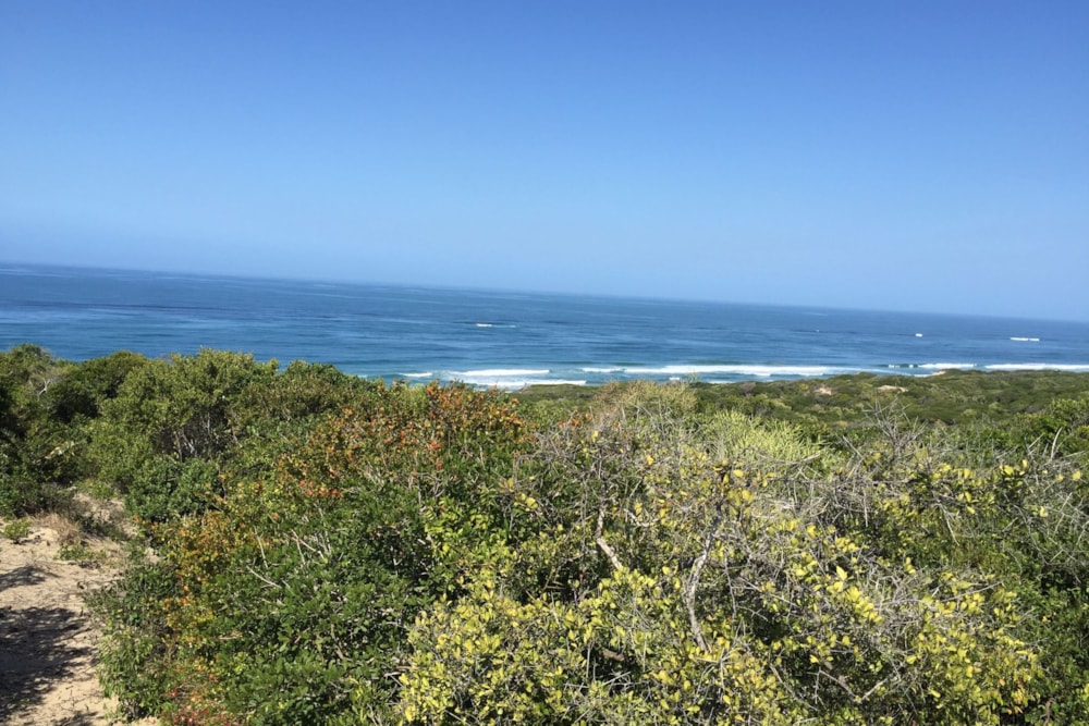 Vacant land for investment in Chidenguele, Gaza, Mozambique - 3MQ1622365