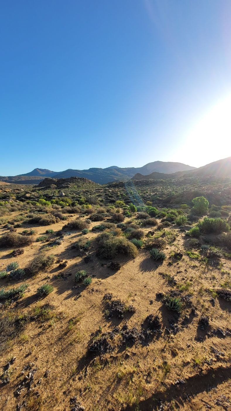 Livestock farm for sale in Springbok - 1NA1622711