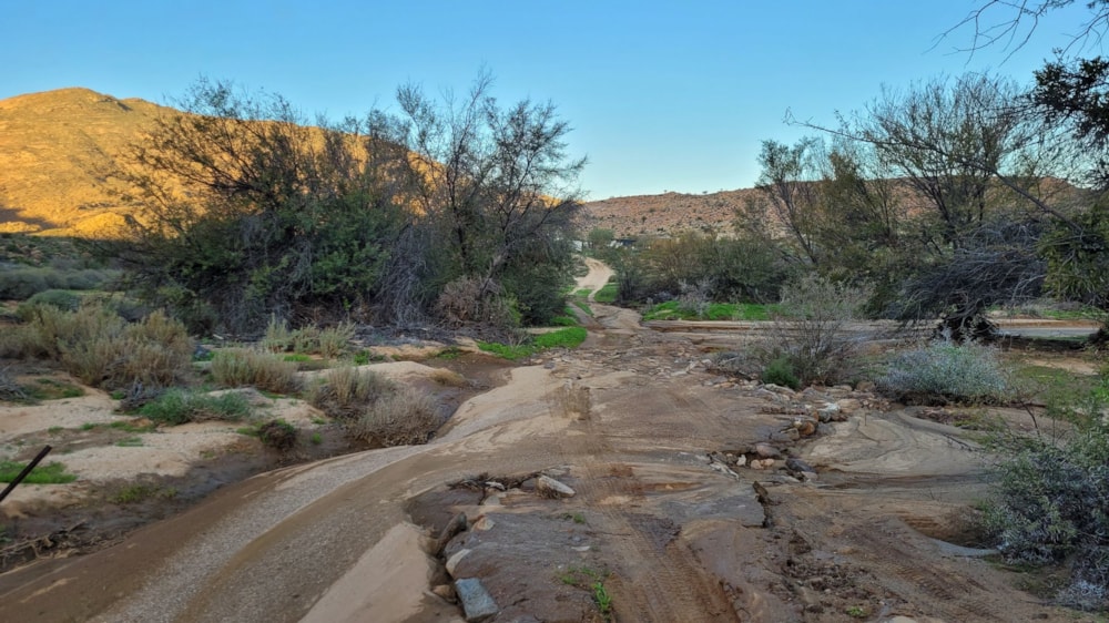 Livestock farm for sale in Springbok - 1NA1622711