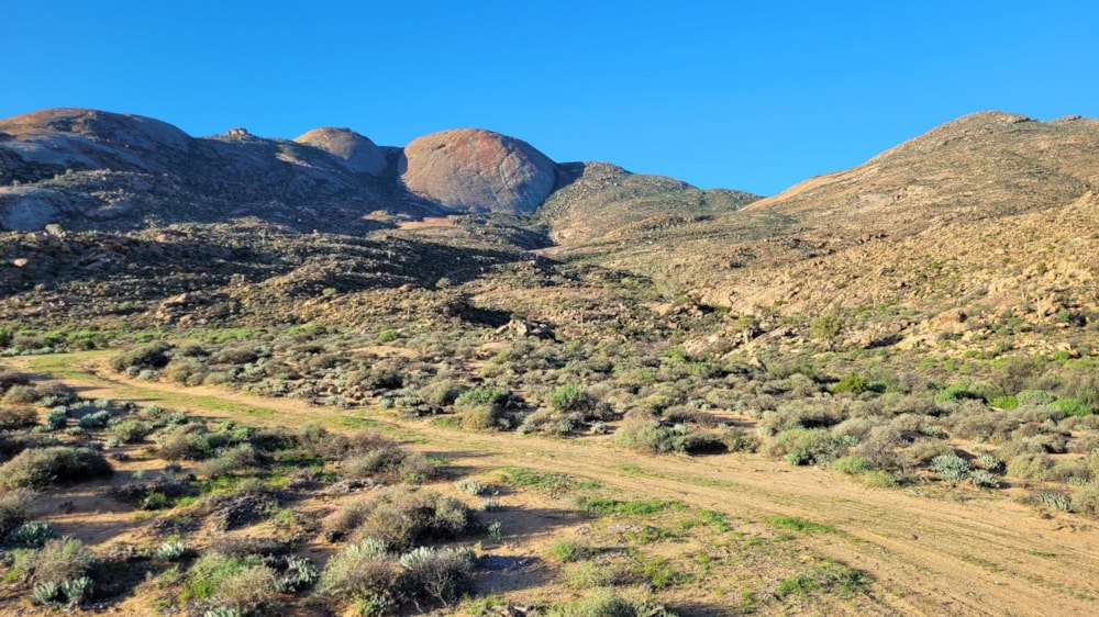 Livestock farm for sale in Springbok - 1NA1622711