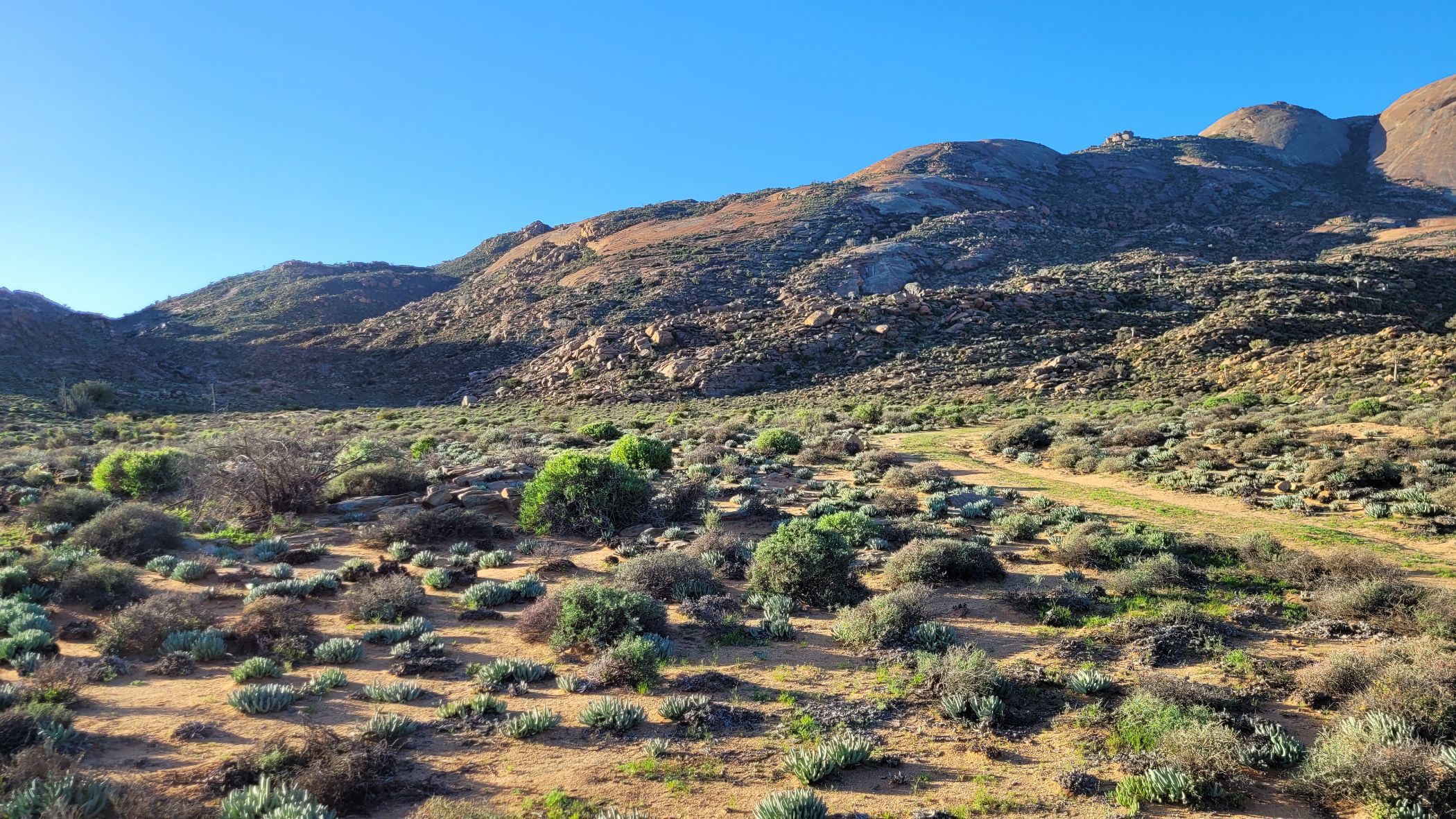 Livestock farm for sale in Springbok - 1NA1622711