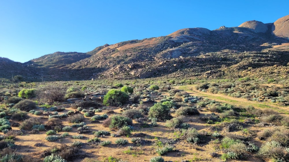 Livestock farm for sale in Springbok - 1NA1622711