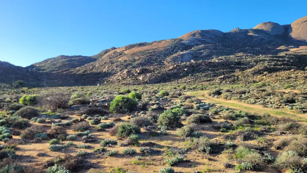 Livestock farm for sale in Springbok - 1NA1622711 Livestock farm for sale in Springbok - 1NA1622711