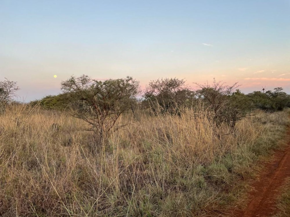 Game farm sold in Groblersdal Rural - 1DS1623412 Game farm sold in Groblersdal Rural - 1DS1623412