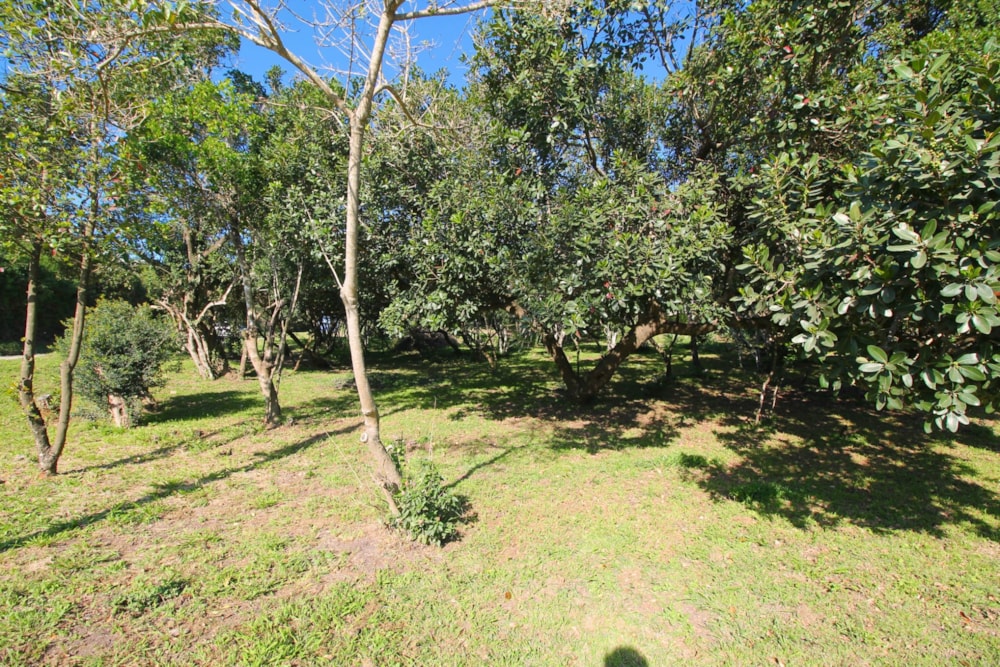 Residential vacant land for sale in West Beach, Port Alfred - 1PF1622084 Residential vacant land for sale in West Beach, Port Alfred - 1PF1622084