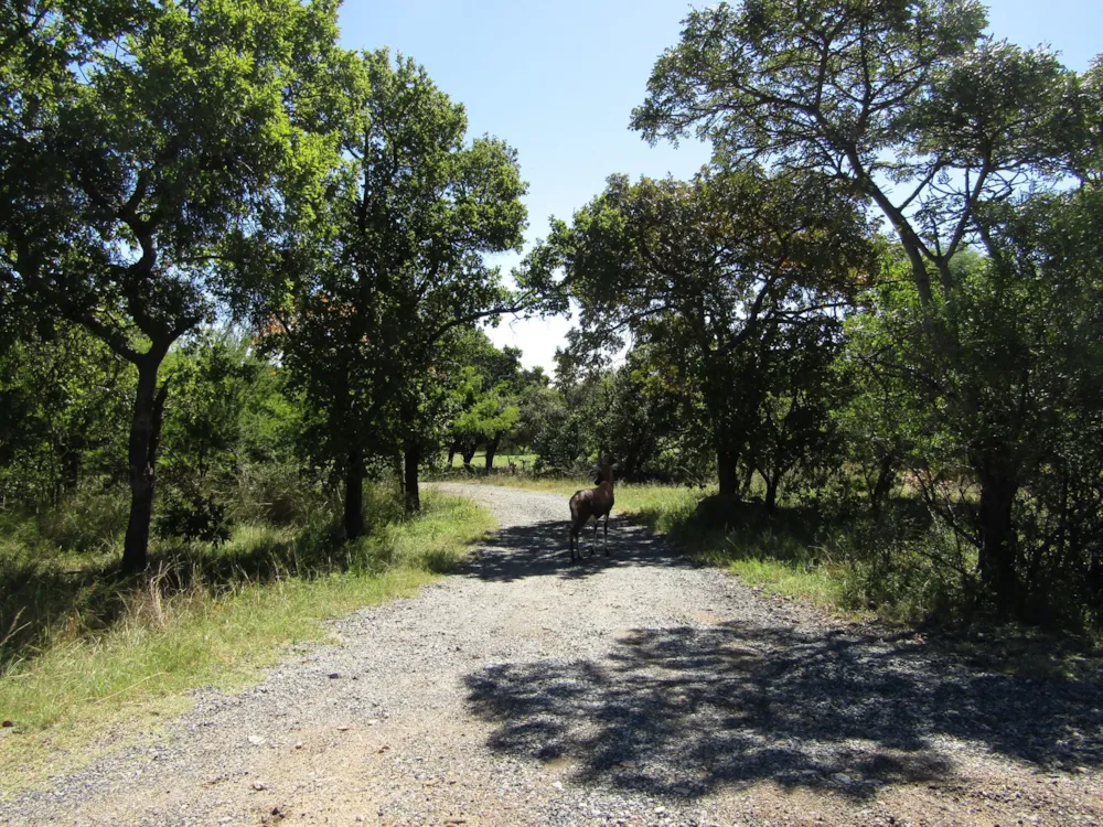 Residential vacant land sold in Seasons Eco Golf Estate - 1HR1624281 Residential vacant land sold in Seasons Eco Golf Estate - 1HR1624281