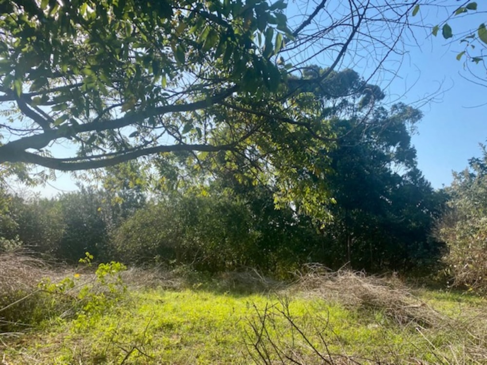 Residential vacant land for sale in Hilltop Estate - 1BD1625961 Residential vacant land for sale in Hilltop Estate - 1BD1625961