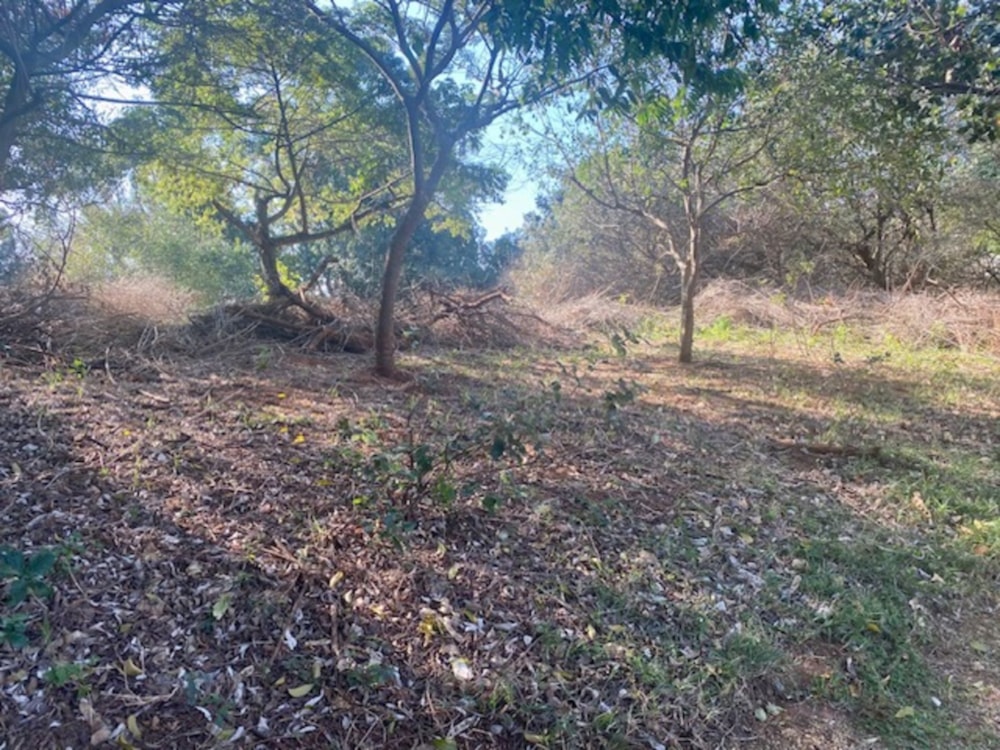 Residential vacant land for sale in Hilltop Estate - 1BD1625961 Residential vacant land for sale in Hilltop Estate - 1BD1625961