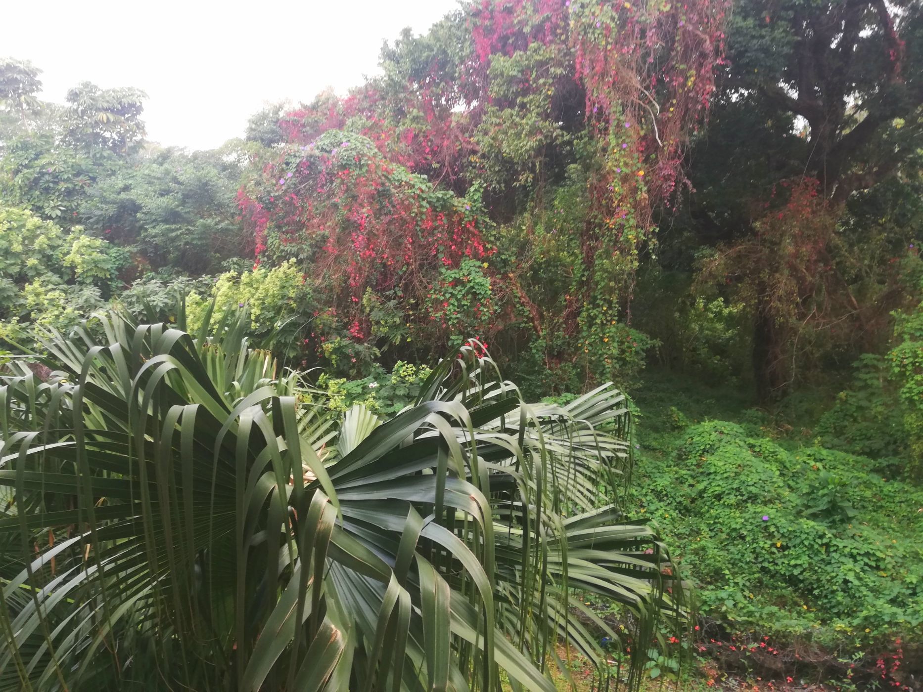 Apartment for sale in Port Shepstone, Port Shepstone - 1PX1636437