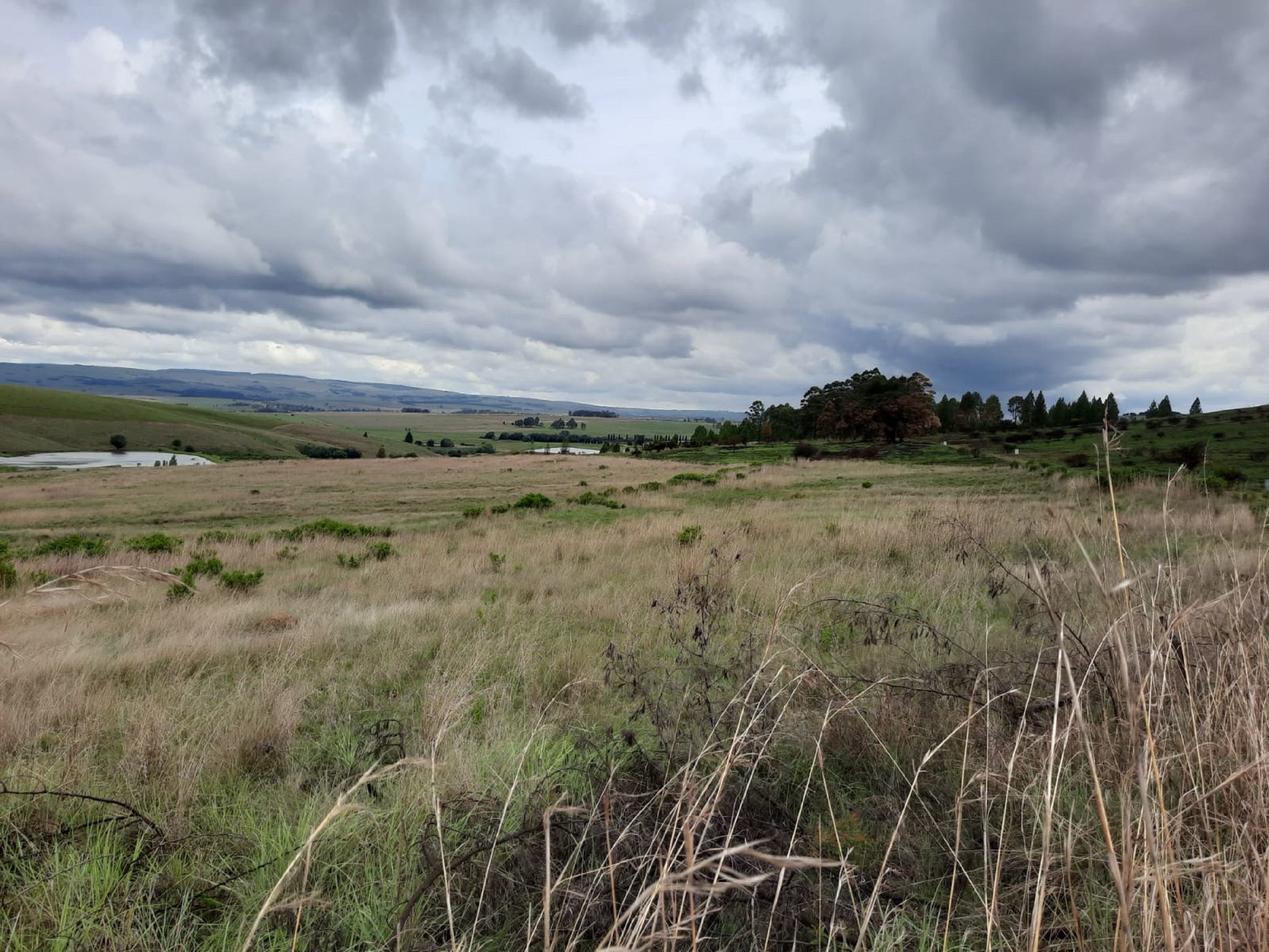 Vacant land for sale in Dullstroom - 1DS1689721