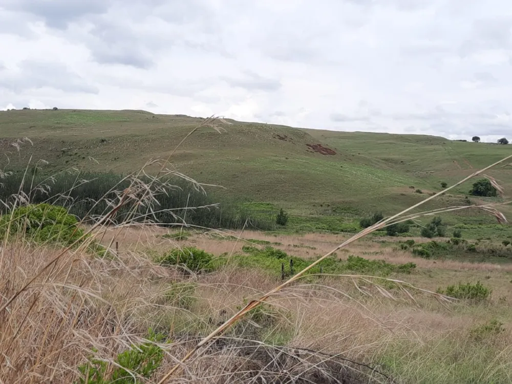 Vacant land for sale in Dullstroom - 1DS1689721 Vacant land for sale in Dullstroom - 1DS1689721