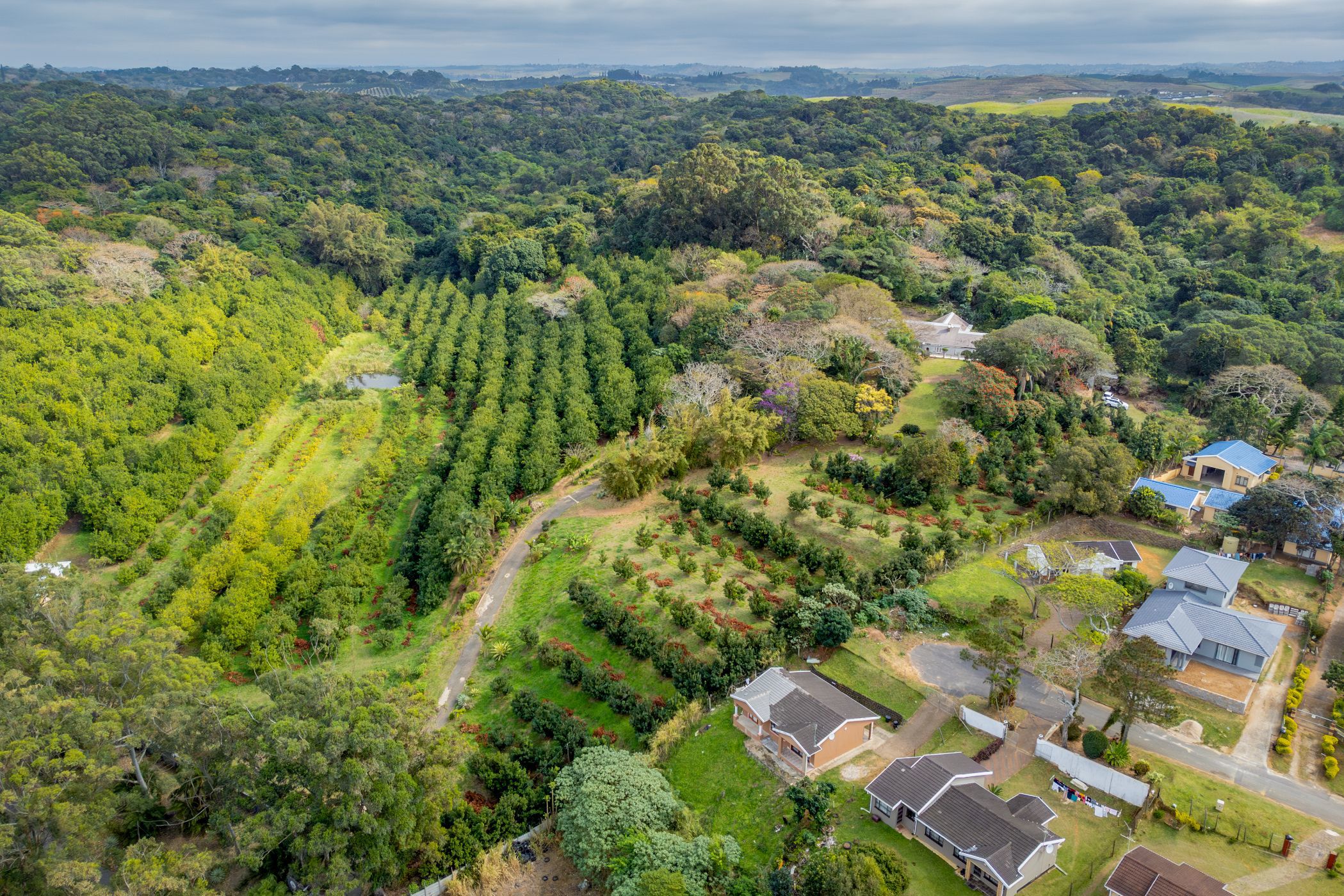 Nut farm for sale in Melville, Port Shepstone - 1PSH1716024