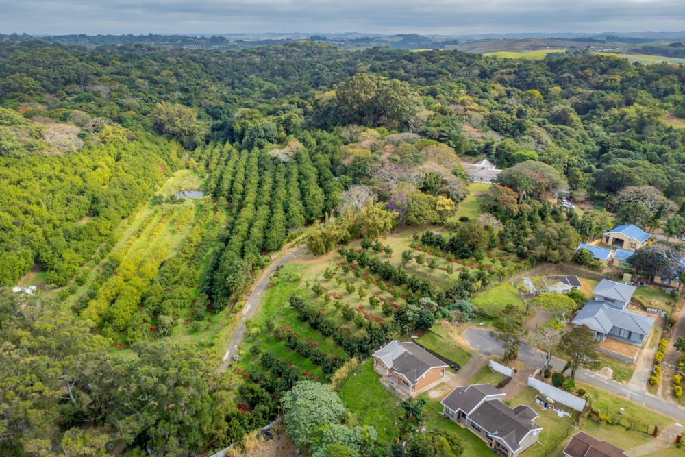 Nut farm for sale in Melville, Port Shepstone - 1PSH1716024 Nut farm for sale in Melville, Port Shepstone - 1PSH1716024