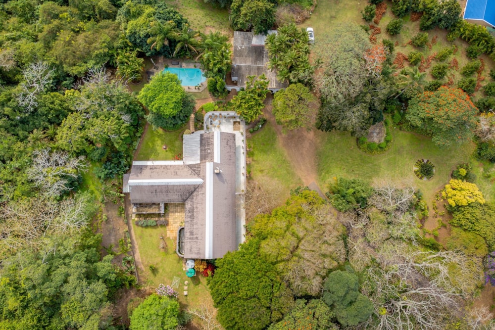 Nut farm for sale in Melville, Port Shepstone - 1PSH1716024 Nut farm for sale in Melville, Port Shepstone - 1PSH1716024