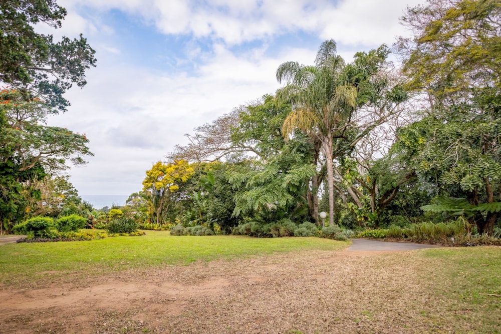 Nut farm for sale in Melville, Port Shepstone - 1PSH1716024 Nut farm for sale in Melville, Port Shepstone - 1PSH1716024