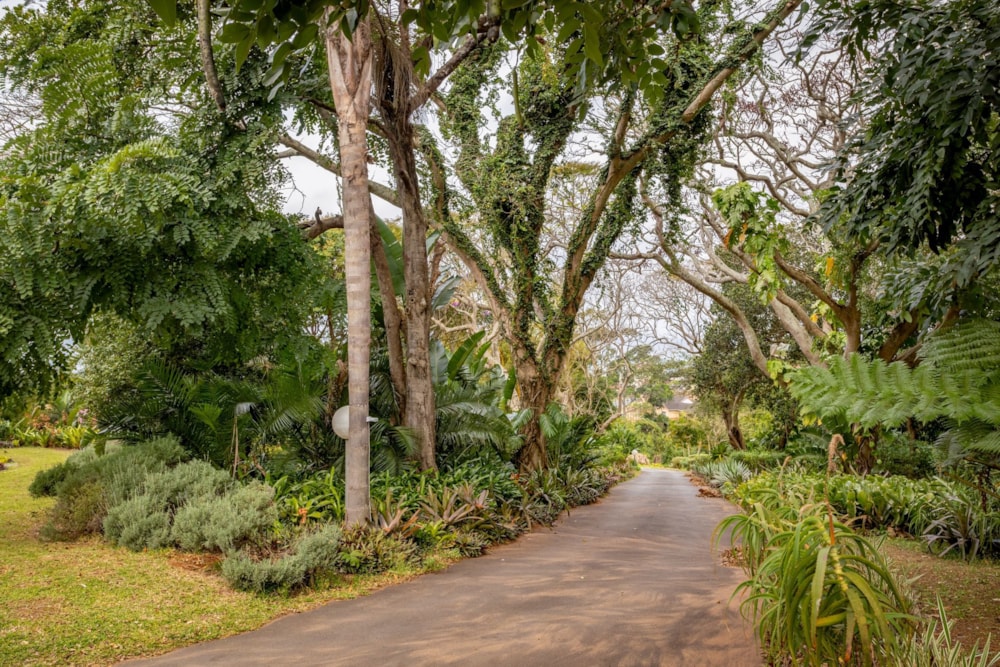 Nut farm for sale in Melville, Port Shepstone - 1PSH1716024 Nut farm for sale in Melville, Port Shepstone - 1PSH1716024