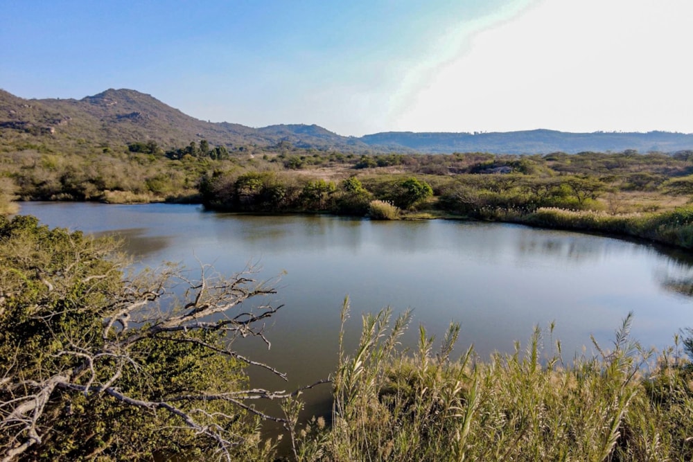 Smallholding for sale in Nelspruit (Mbombela) - 1NS1627071