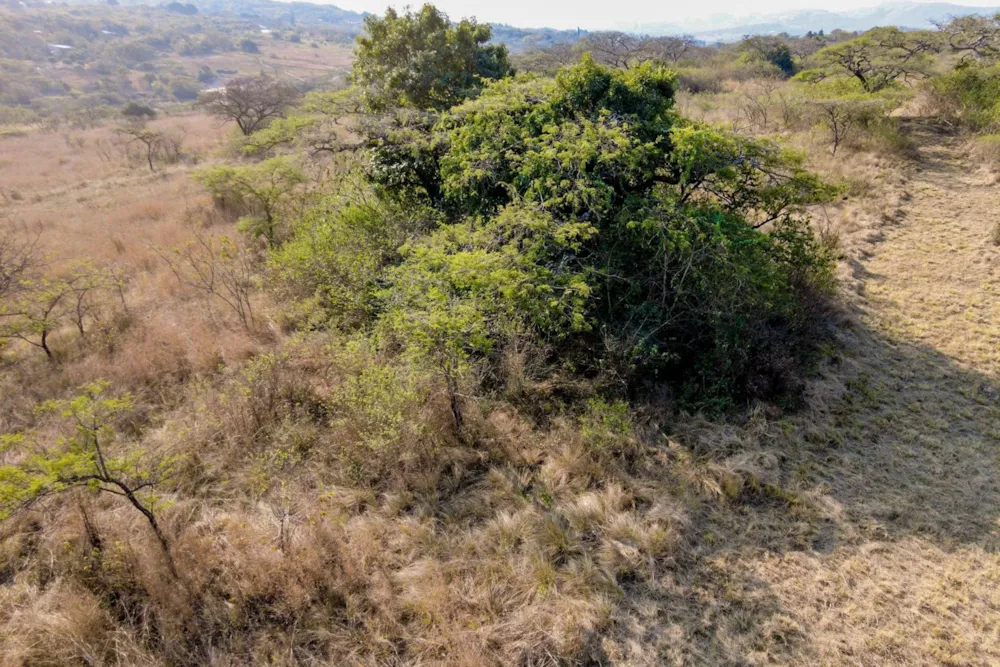Smallholding for sale in Nelspruit (Mbombela) - 1NS1627071