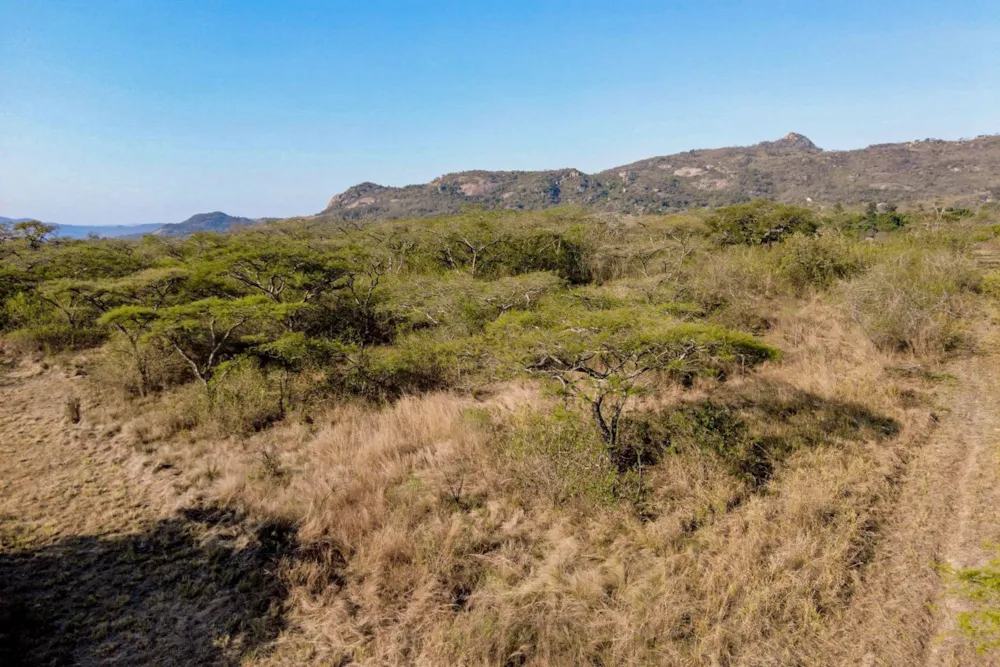 Smallholding for sale in Nelspruit (Mbombela) - 1NS1627071