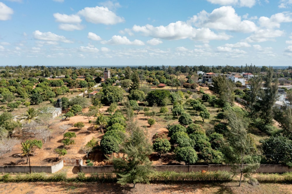 Vacant land for investment in Marracuene, Mozambique - 3MQ1623558 Vacant land for investment in Marracuene, Mozambique - 3MQ1623558