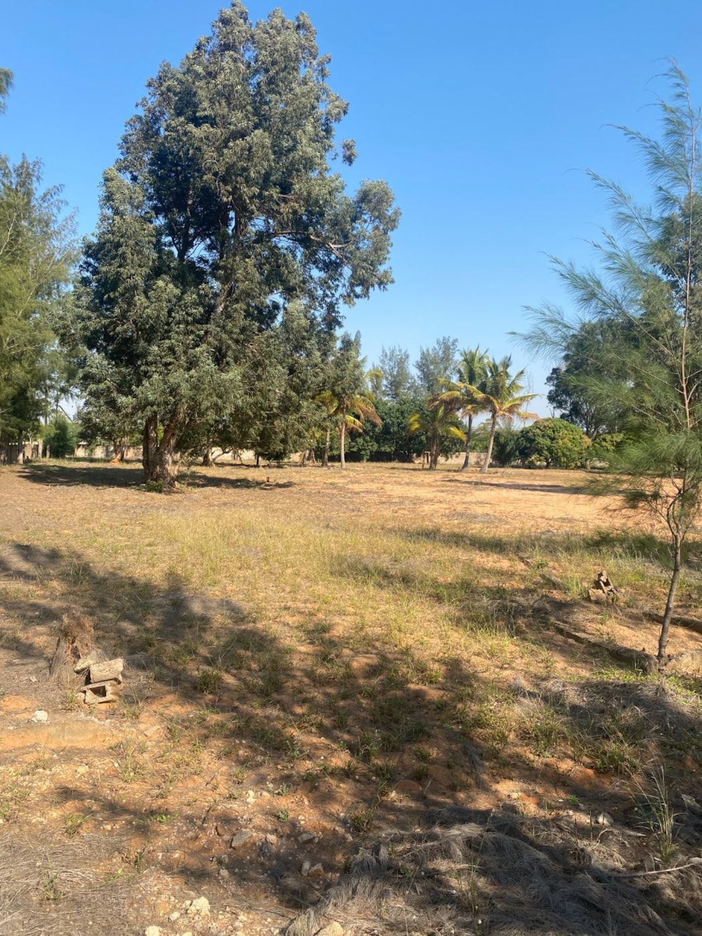 Vacant land for investment in Marracuene, Mozambique - 3MQ1623575 Vacant land for investment in Marracuene, Mozambique - 3MQ1623575