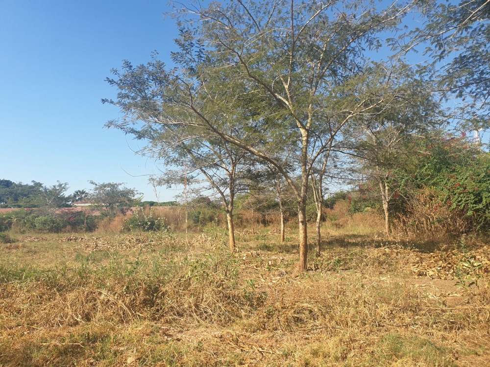 Residential vacant land for sale in Kafue, Zambia - 3ZA1623762 Residential vacant land for sale in Kafue, Zambia - 3ZA1623762