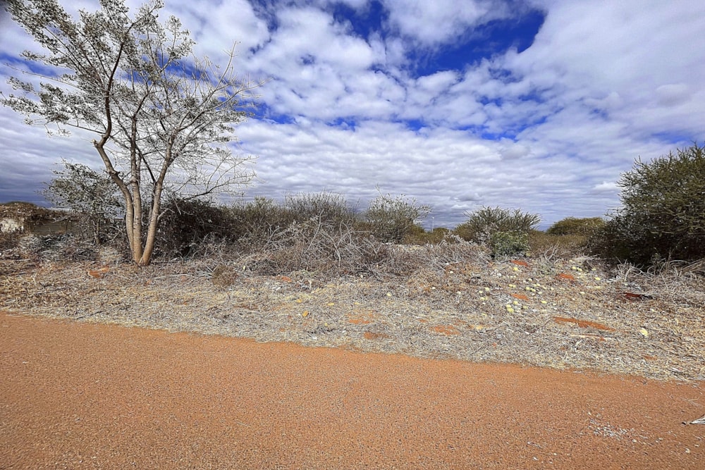 Vacant land for sale in Ellisras (Lephalale) - 1ER1623970 Vacant land for sale in Ellisras (Lephalale) - 1ER1623970