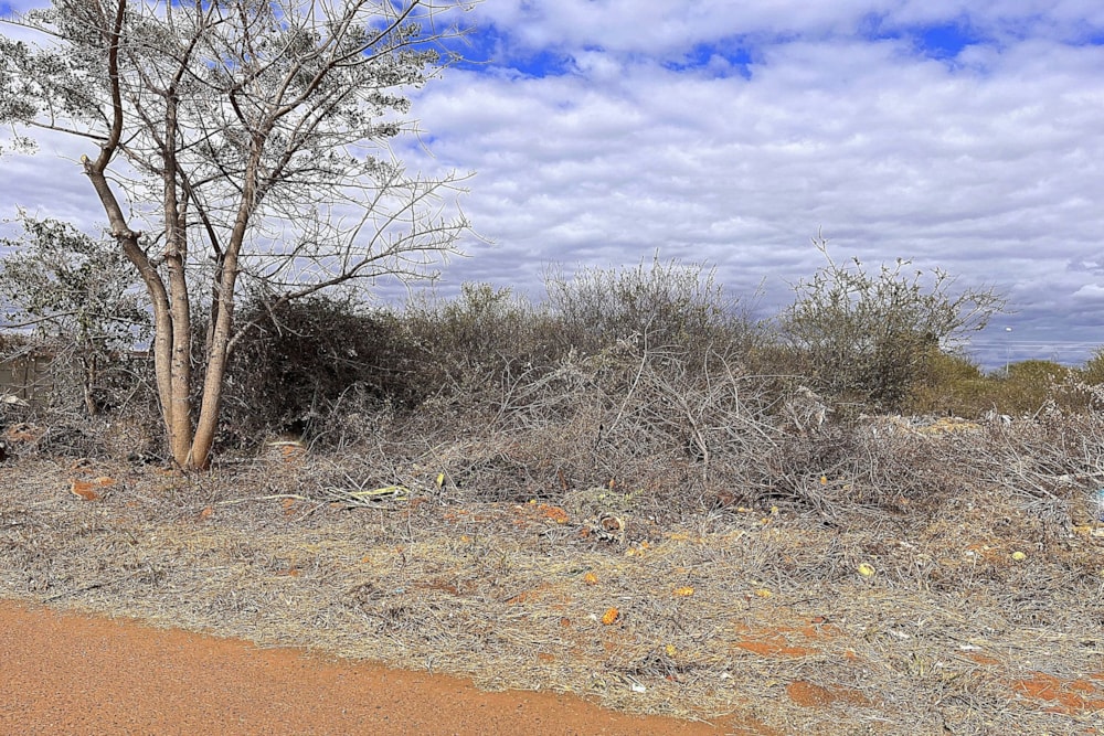 Vacant land for sale in Ellisras (Lephalale) - 1ER1623970 Vacant land for sale in Ellisras (Lephalale) - 1ER1623970