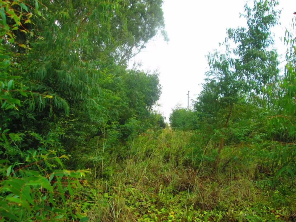 Vacant land for sale in Dullstroom - 1DS1624005