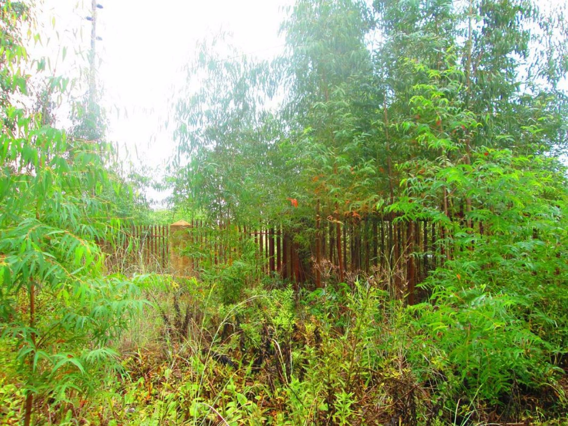 Vacant land for sale in Dullstroom - 1DS1624005
