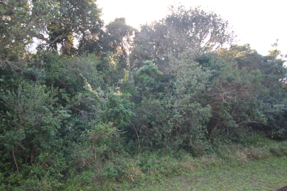 Vacant land for sale in Seafield, Port Alfred - 1PF1624149
