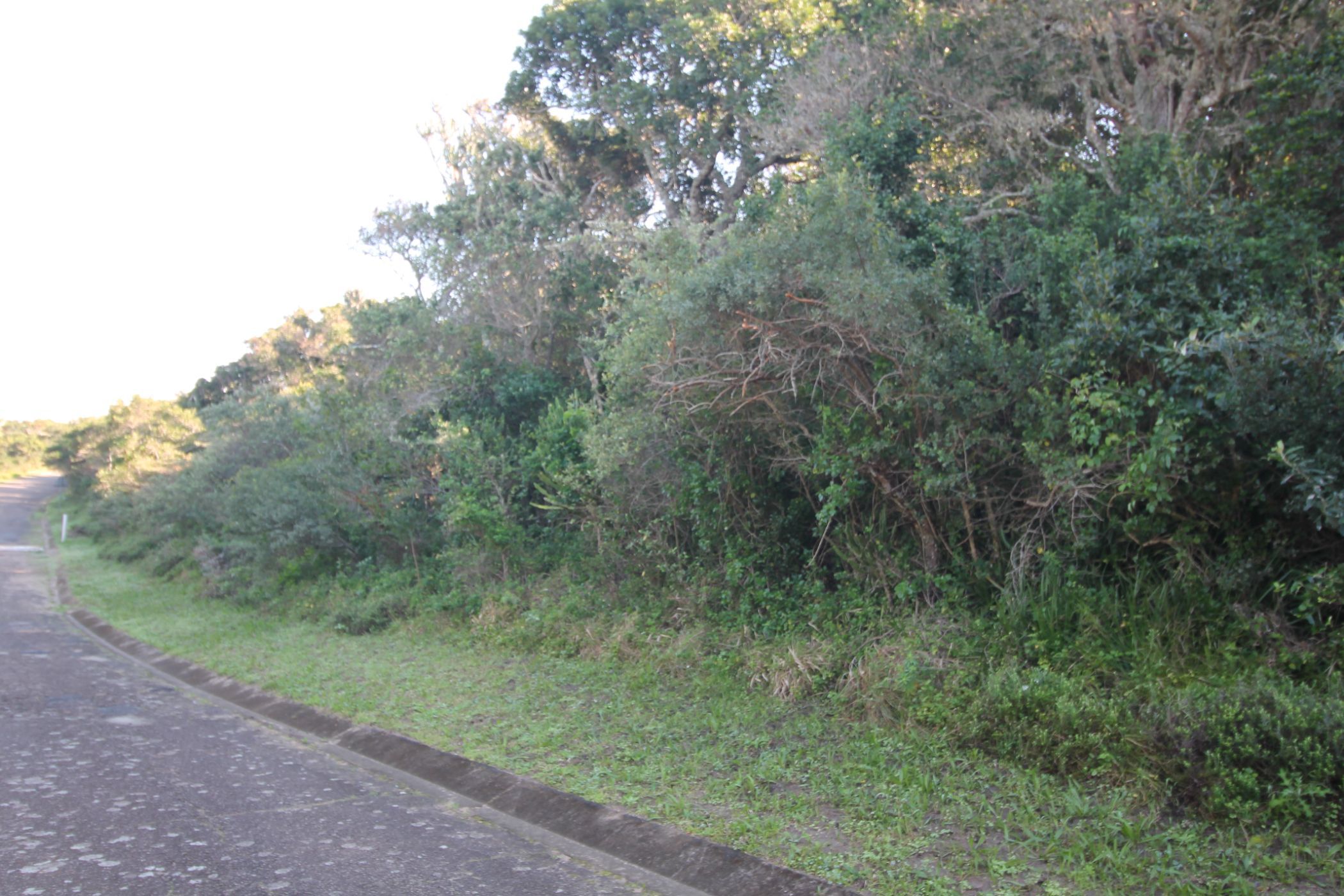 Vacant land for sale in Seafield, Port Alfred - 1PF1624149