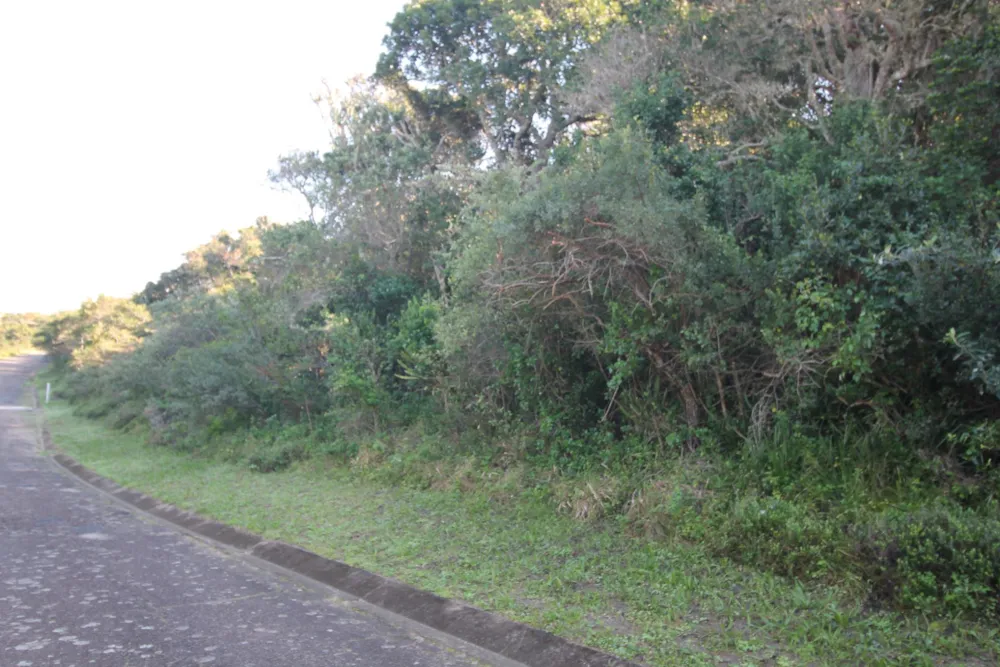 Vacant land for sale in Seafield, Port Alfred - 1PF1624149