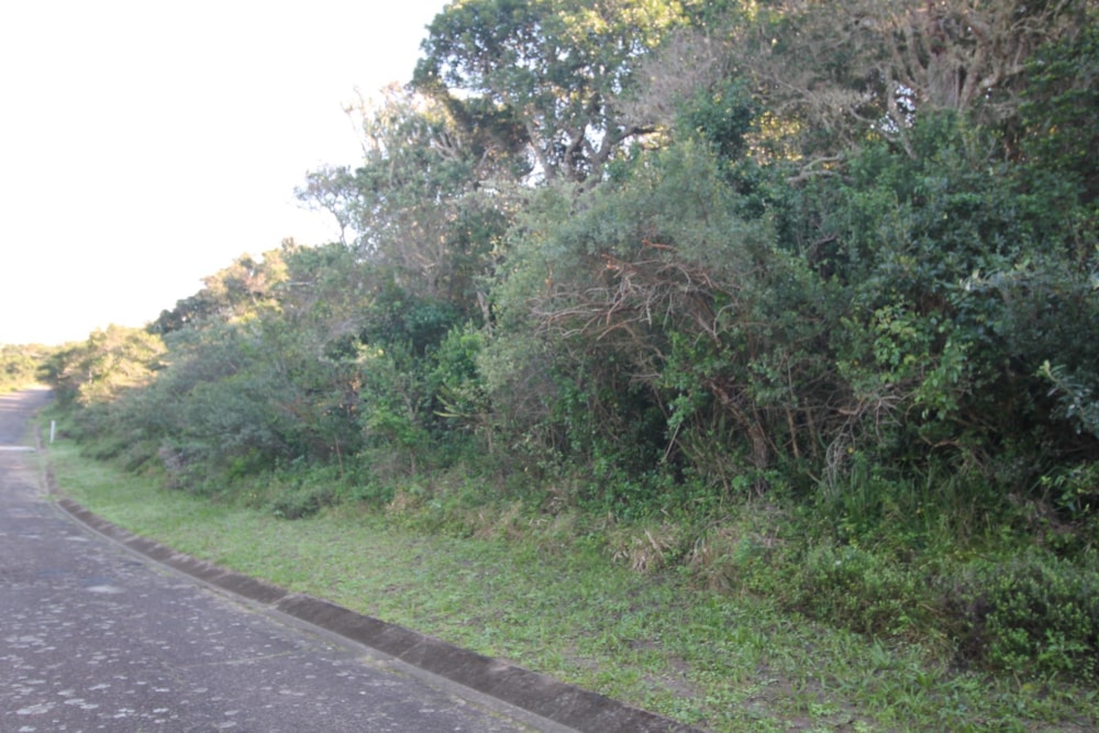Vacant land for sale in Seafield, Port Alfred - 1PF1624149