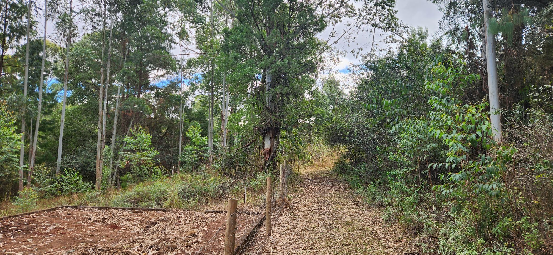 Farm vacant land for sale in Haenertsburg - 1TA1624026