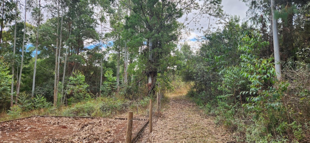 Farm vacant land for sale in Haenertsburg - 1TA1624026 Farm vacant land for sale in Haenertsburg - 1TA1624026