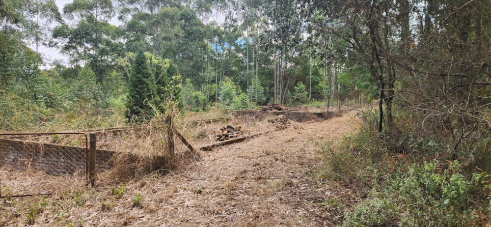 Farm vacant land for sale in Haenertsburg - 1TA1624026 Farm vacant land for sale in Haenertsburg - 1TA1624026