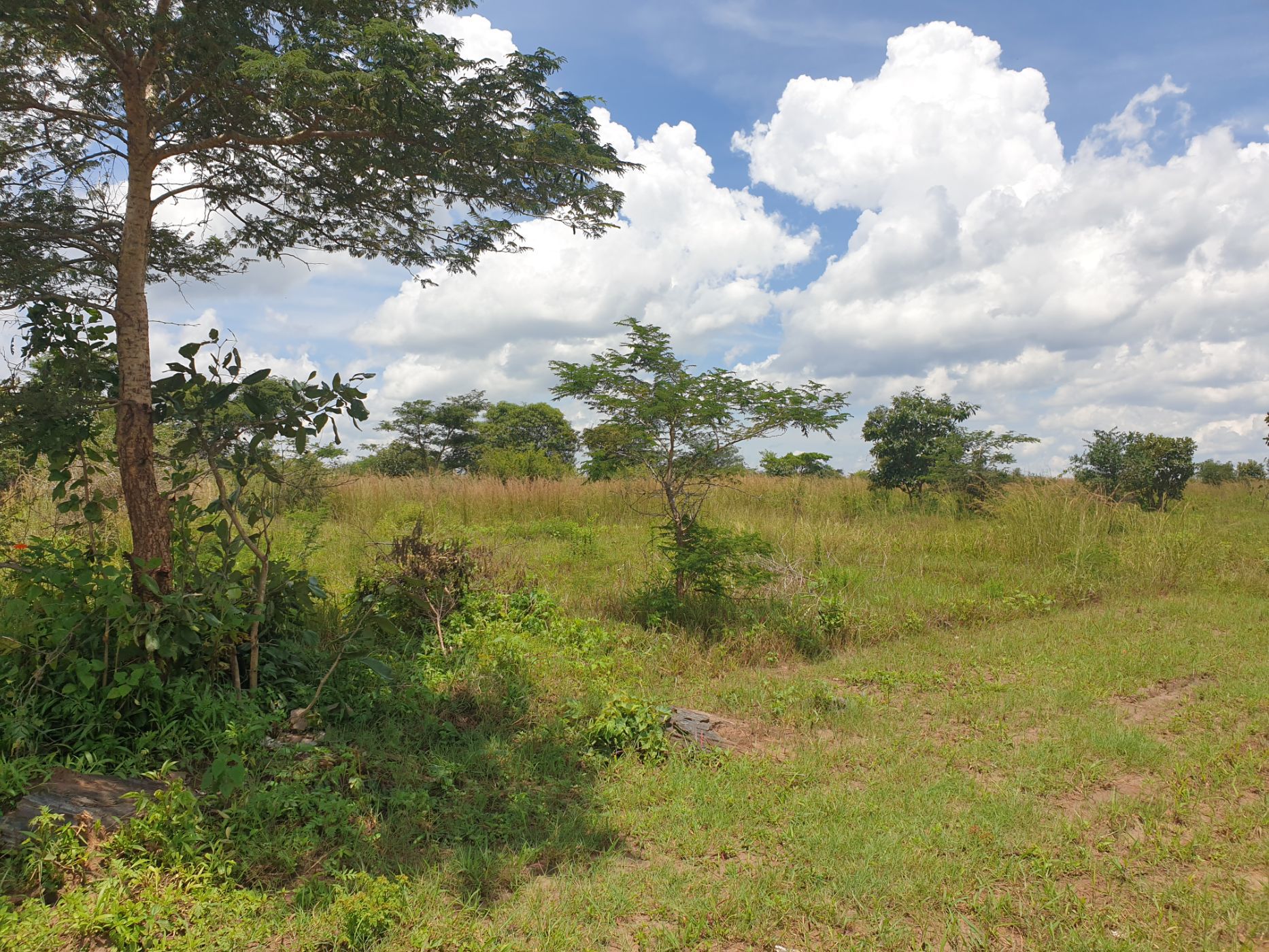 Farm vacant land for sale in Mpika, Zambia - 3ZA1624095